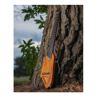 Donner HUSH-I Acoustic-Electric Guitar Kit - Mahogany