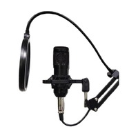 BM-800 Condenser Microphone Home Studio Kit 