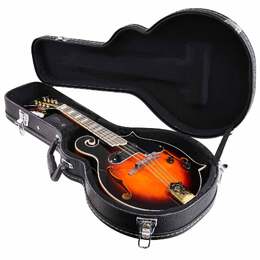 Artist MDF100 Solid Top Mandolin with Pickup and Hard Case - Sunburst