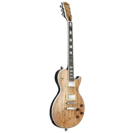 Artist AP81 15th Anniversary Spalted Maple Electric Guitar