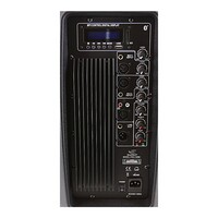 2x SWAMP 12" Powered PA Speaker - Bi-amped - 150W + 30W RMS