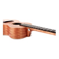 Enya 20 Sapele Ukulele with Padded Gig Bag - Concert