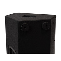 SWAMP HA-12 - Compact Passive 12" PA Speaker - 250W RMS