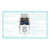 Hotone Skyline Series Mini Tuner Pedal with LED Display