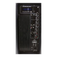 SWAMP 12" Powered PA Speaker - Bi-amped - 150W + 30W RMS
