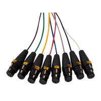 SWAMP 8-way DB-25 - XLR(f) Digital AES Cable TASCAM wiring - 1m