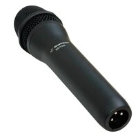 SWAMP SD100 Basic Dynamic Vocal Microphone