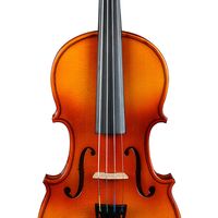Artist SVN18 Solid Wood Student Violin Package 1/8 Size