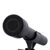 Alctron RE660 Handheld Interview Omnidirectional Dynamic Microphone