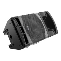 Audiocenter MA12 Active DSP-Controlled Full Range 12" Speaker