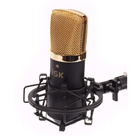 Home Studio Vocal Recording Package - RF-5 + BM-700 Condenser Mic - Standard Package