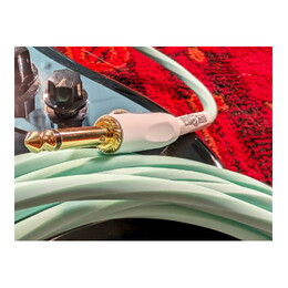 Pig Hog Hex Series Seafoam Green Silent Cable 10ft