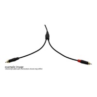 Dual XLR(m) to 3.5mm TRS - Stereo Signal Headphone Splitter - 2m