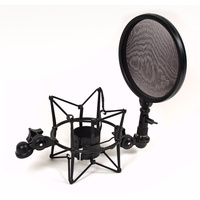 iSK BM-600 Multi-function Condenser Microphone + Shockmount and Pop Filter