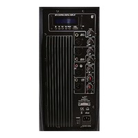 SWAMP 15" Powered PA Speaker - Bi-amped - 200W + 50W RMS