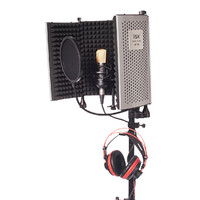 Home Studio Vocal Recording Package - RF-5 + BM-700 Condenser Mic - Standard Package