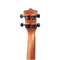 Enya 20 Sapele Ukulele with Padded Gig Bag - Soprano