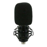 SWAMP Vocal Studio Recording Package  - Standard Package