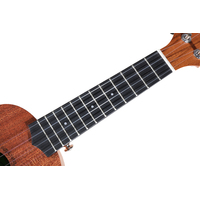 Enya 20 Sapele Ukulele with Padded Gig Bag - Concert