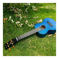 Enya MS Blue Solid Mahogany Ukulele - Tenor