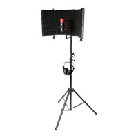 Singer Songwriter Recording Package - CS35 + T02A Condenser