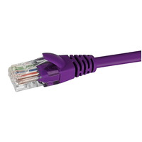 Datamaster W27 Cat6 Ethernet Purple Patch Cable RJ45 Network Connectors - 50cm