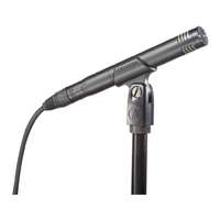 Audio-Technica AT2031 Cardioid Small Diaphragm Instrument Condenser Microphone