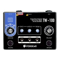 Foxgear TW-100 100W American Classic Vintage Guitar Amplifier Pedal