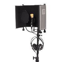 Home Studio Vocal Recording Package - RF-5 + BM-700 Condenser + USB Interface