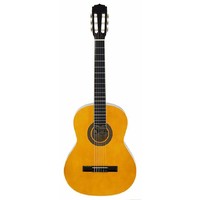 Aria Fiesta FST200N 4/4-Size Classical, Nylon String Guitar in Natural