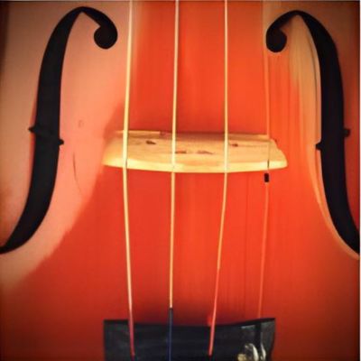 Violin Strings